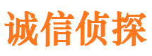 桃源外遇出轨调查取证